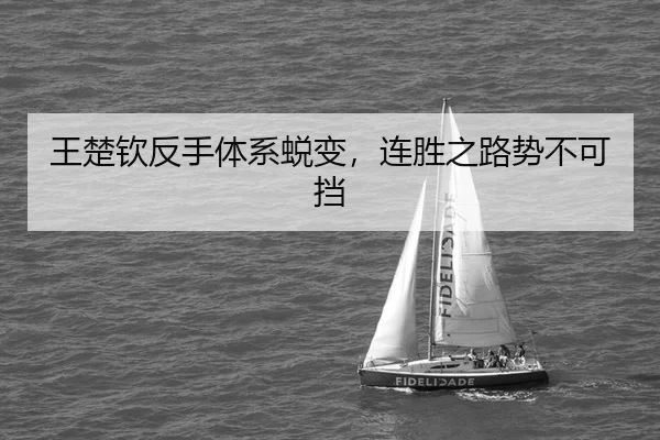 wang-chu-qin-fan-shou-ti-xi-tui-bian-lian-sheng-zhi-lu-shi-bu-ke-dang-2-202.jpg